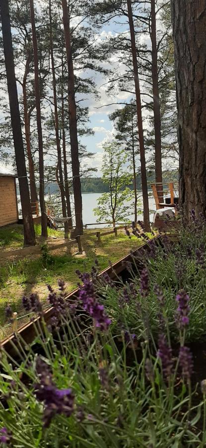 Domek Borsk Nad Samym Jeziorem Exteriör bild
